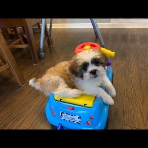 Meet your Posher, Jeff